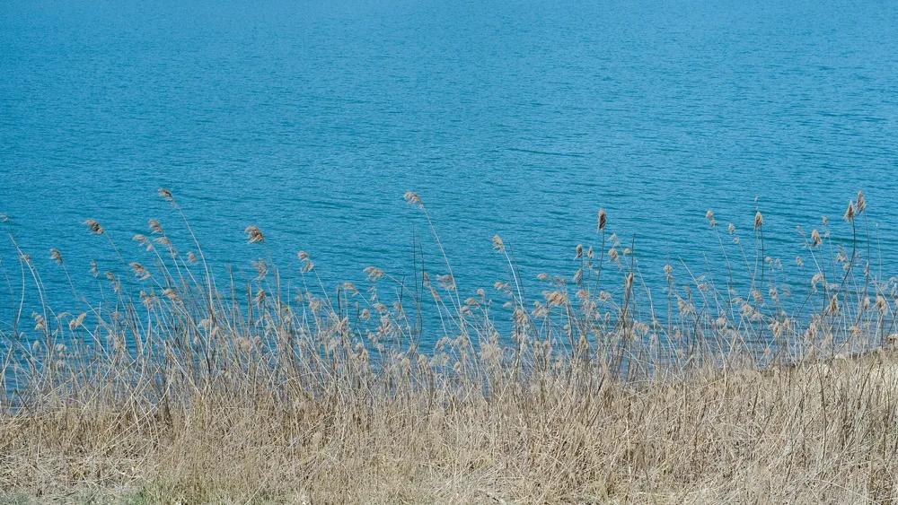 DSCF9098