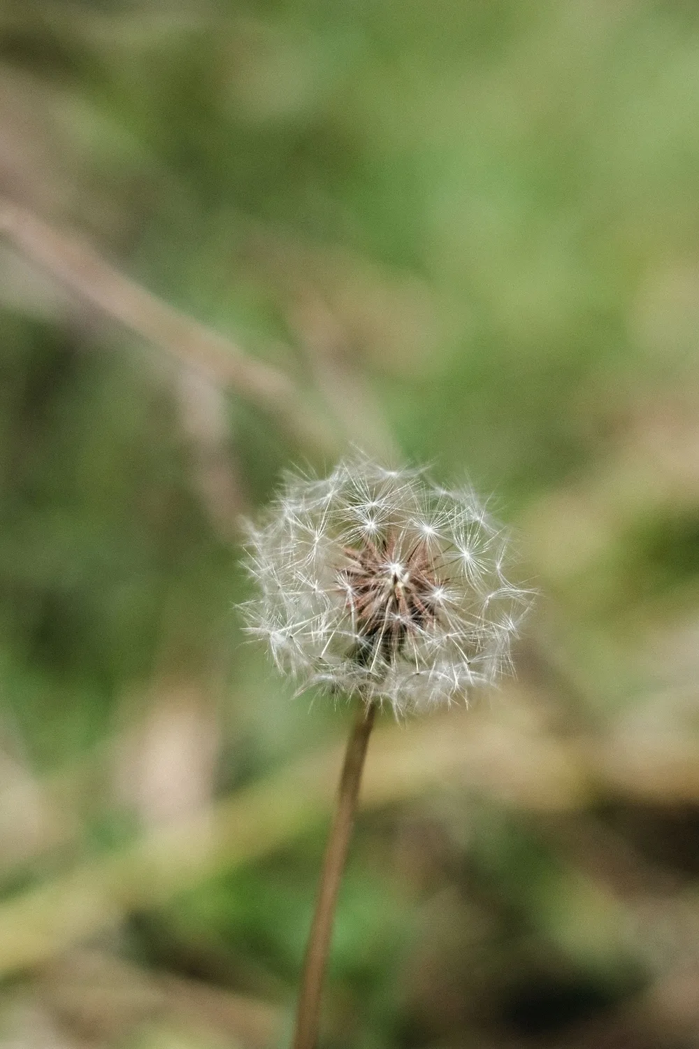 DSCF9279