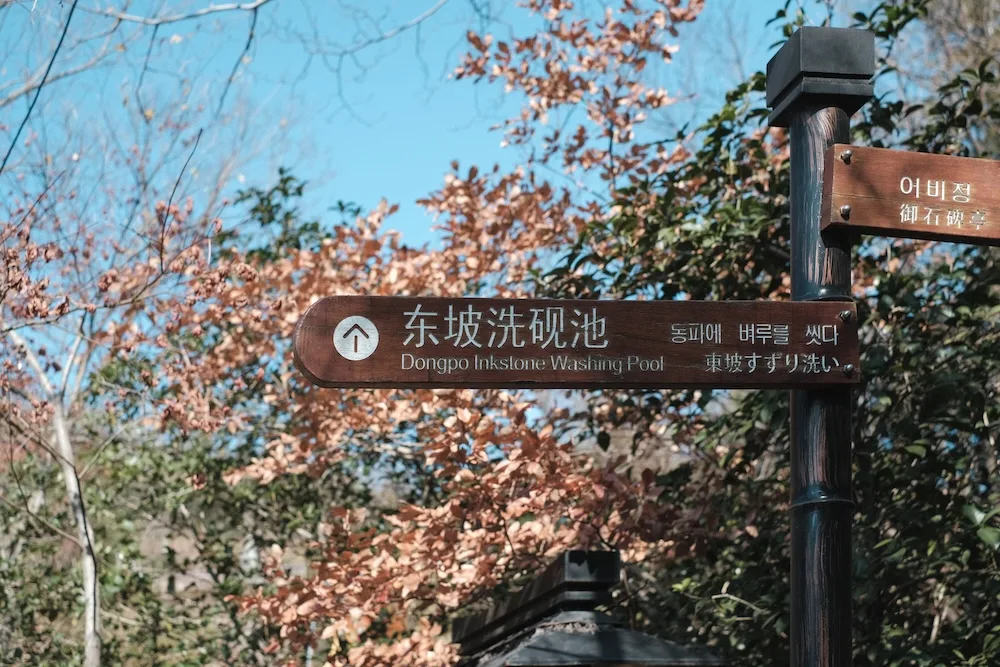 DSCF7547