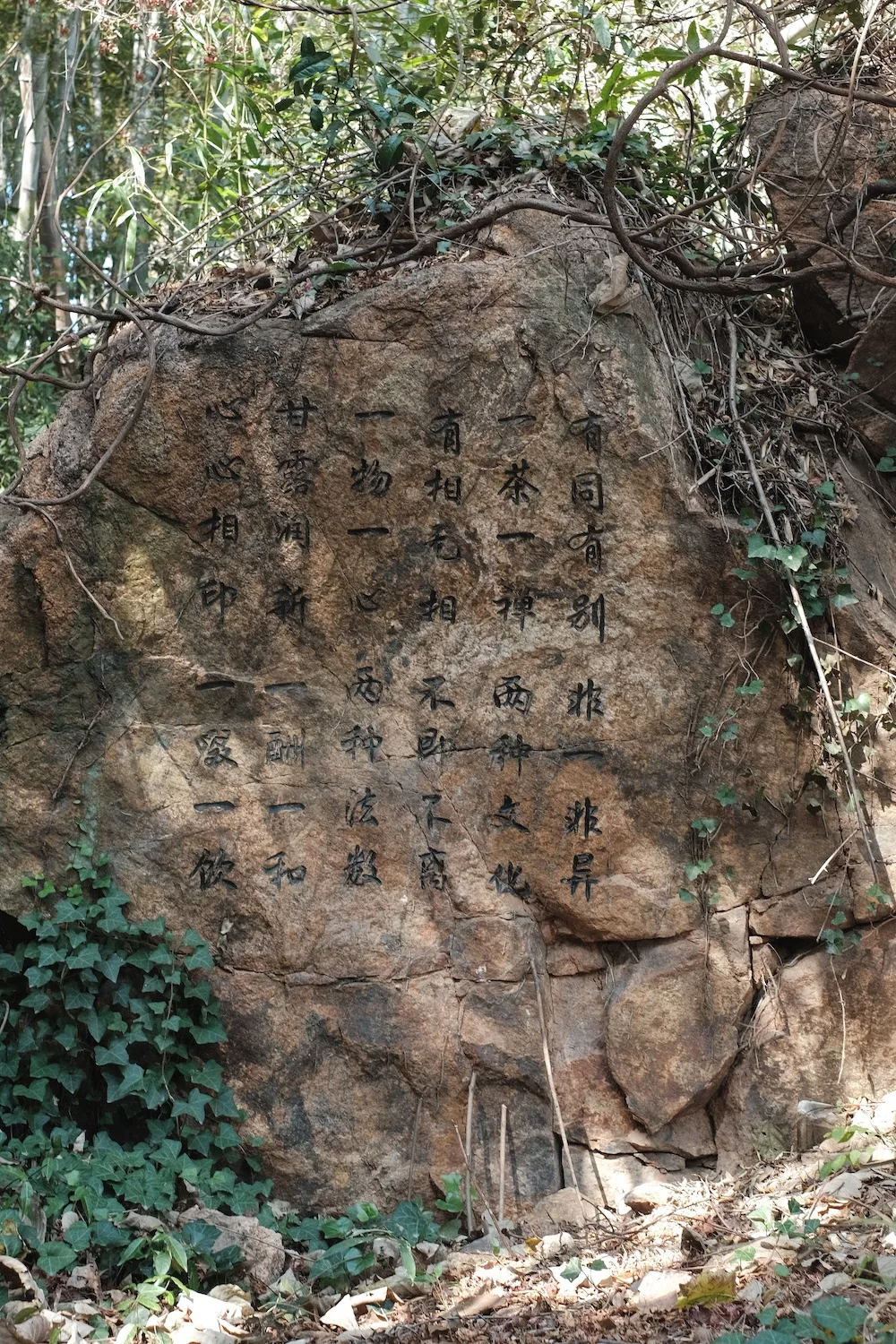 DSCF7546